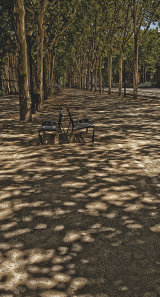 Seats in the shade