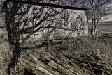 shadows