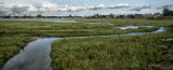 Bosham from across the chennel