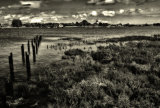 Timeless vista