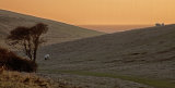 Lonely valley