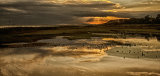 Solitude