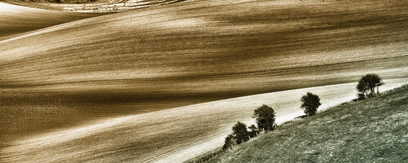 Textures & Curves, South Downs