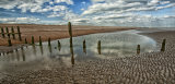 Old pilings