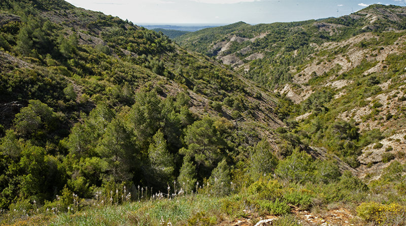 Mountainous terrain