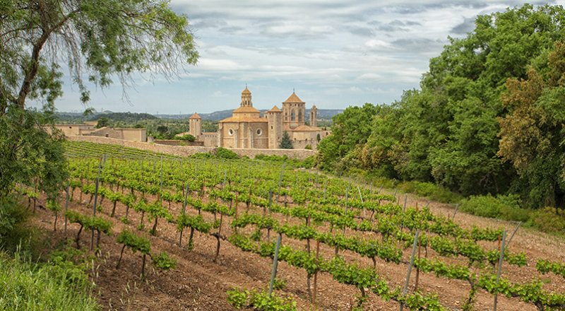 Our first Monastery in sight