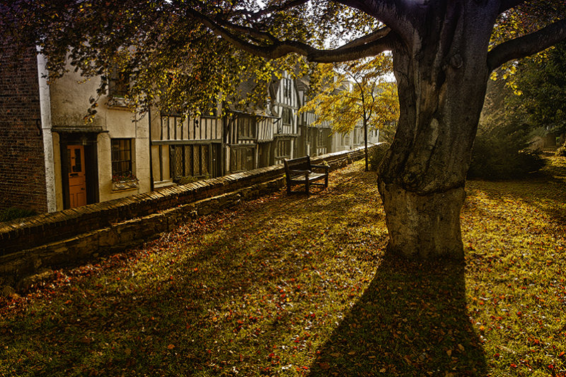 View from the churchyard, Autumn