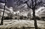 Trees, shade & shadows