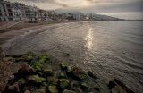 Early morning