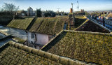 Medieval rooftops.