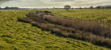 Lonely winter landscape