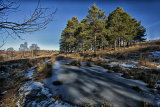 Depths of Winter