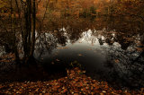 Secret autumnal pool at dusk