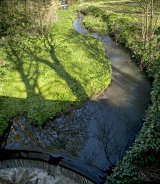 Upwaters