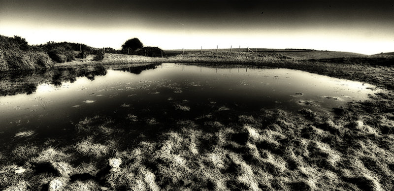 Downland dewpond