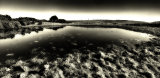 Downland dewpond