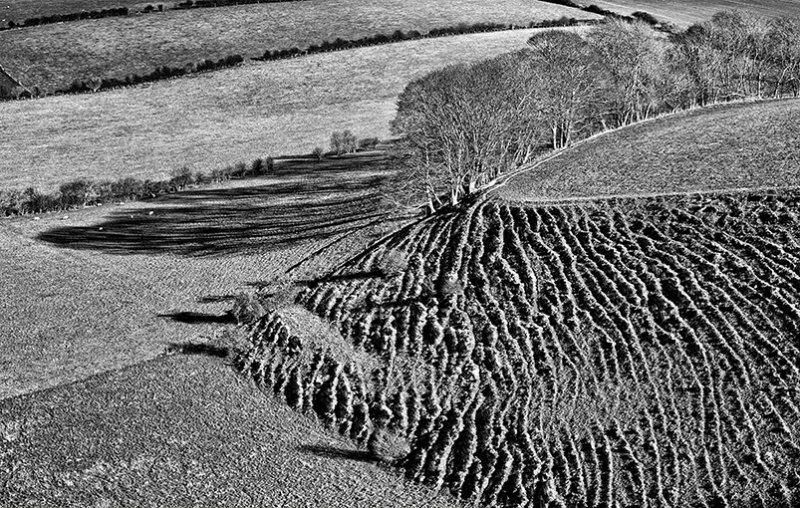 Trees, shadowns & textures (Solifluction)