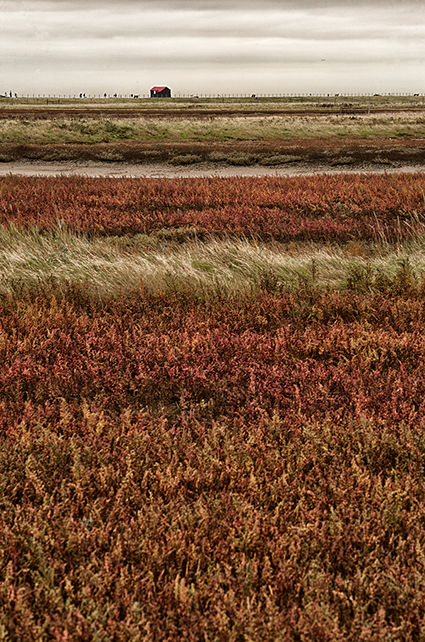 Autumn layers