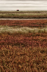 Autumn layers