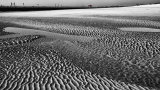Local Icon across the sands