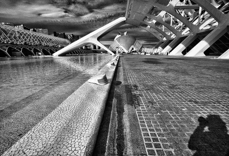 Photographer's view