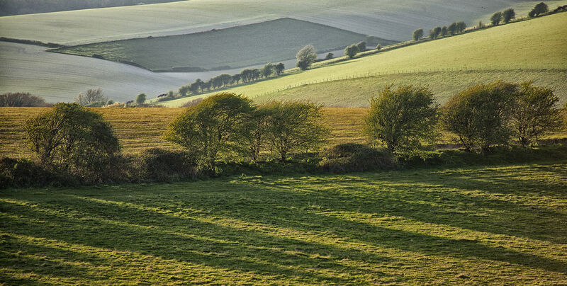 Long shadows