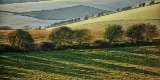 Long shadows