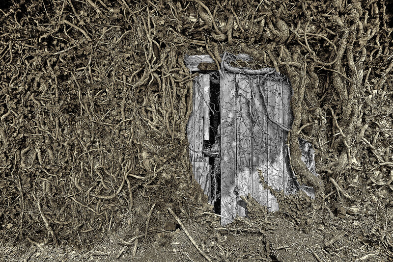 The Secret Door