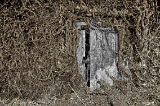 The Secret Door