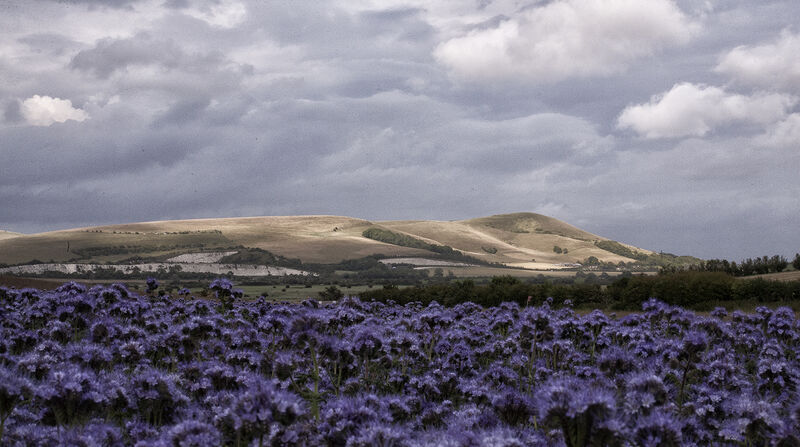 Sunlit Caburn