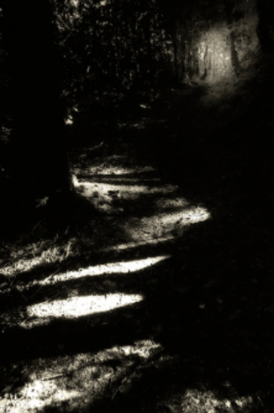 Lighting the way