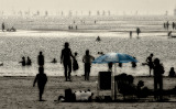 A day at the beach