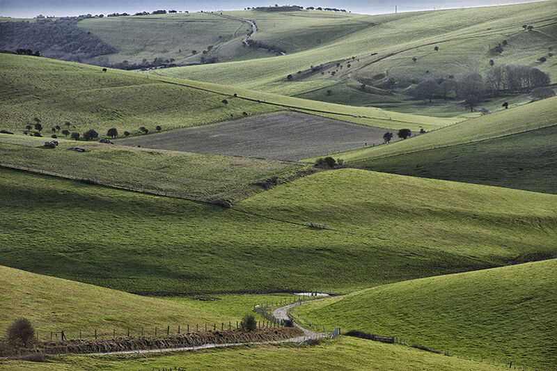 3 Stunning Sussex Downland valleys a short walk from Lewes: #3 - Balsdean