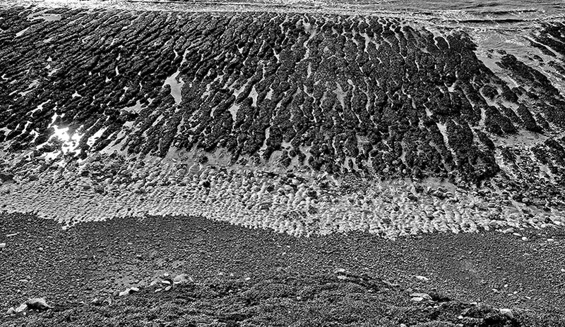 Patterns on the shore
