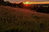 End of a perfect day