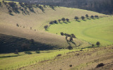 3 Stunning Sussex Downland valleys a short walk from Lewes: #2 - Southerham