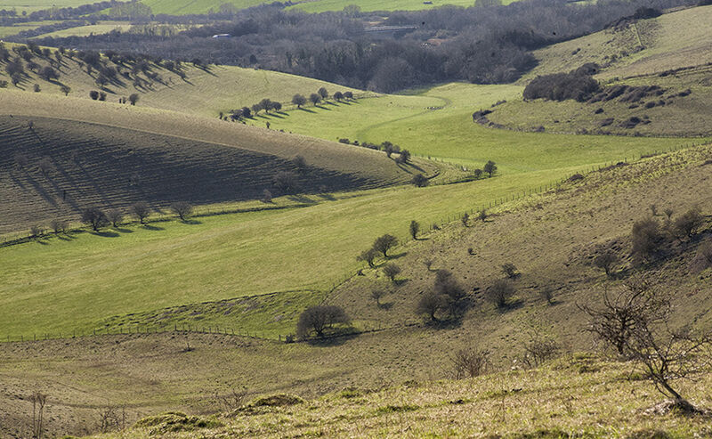 3 Stunning Sussex Downland valleys a short walk from Lewes: #2 - Southerham