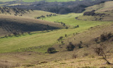 3 Stunning Sussex Downland valleys a short walk from Lewes: #2 - Southerham
