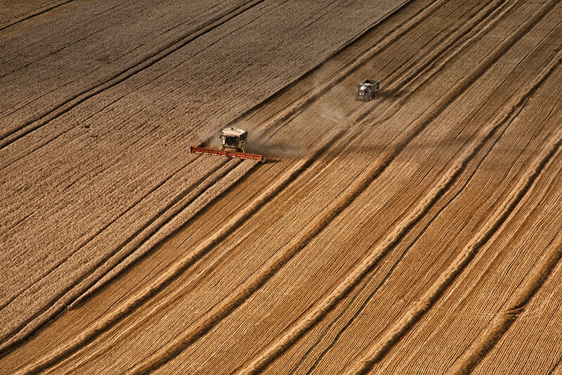 Harvest Lines