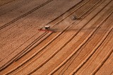 Harvest Lines