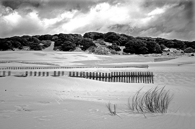 Dunescape