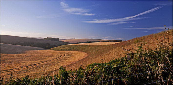 Summer evening