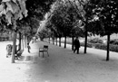 The Chair