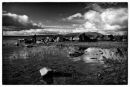 Irish wilderness