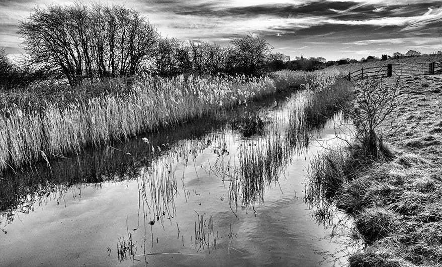 Winter ditch