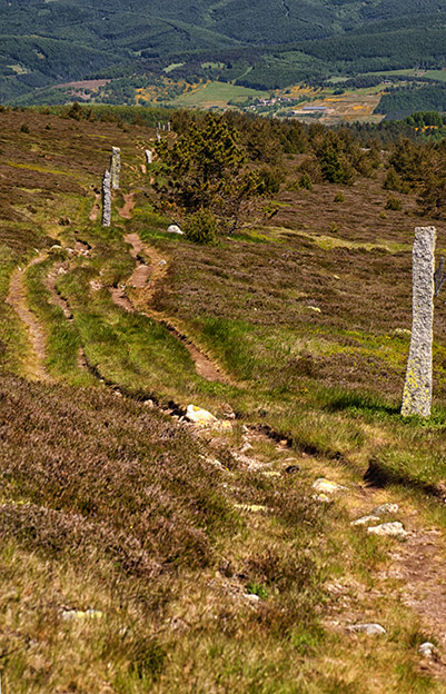 The Stevenson Trail