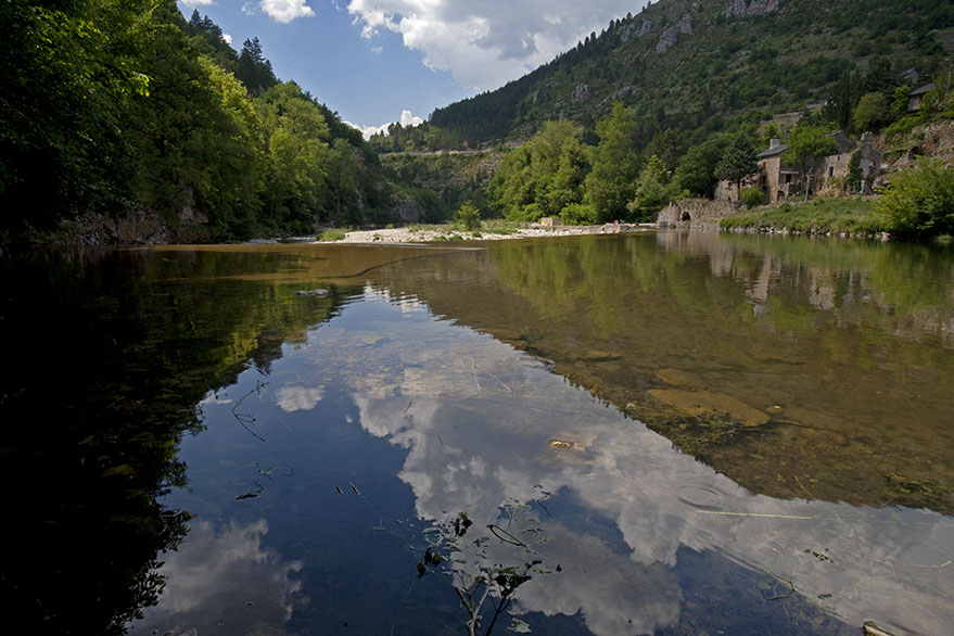 Tarn reflections