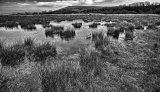 Winter floods