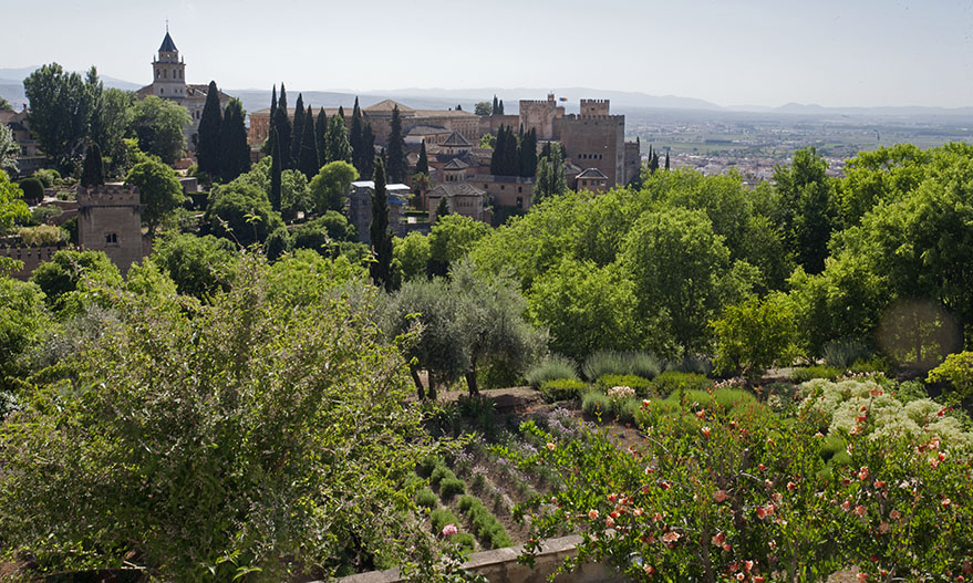 From the Generalife