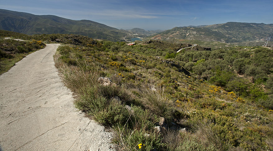 great walking